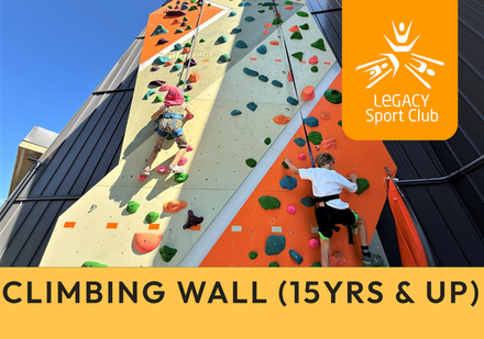 Climbing Wall (15 yrs & up)
