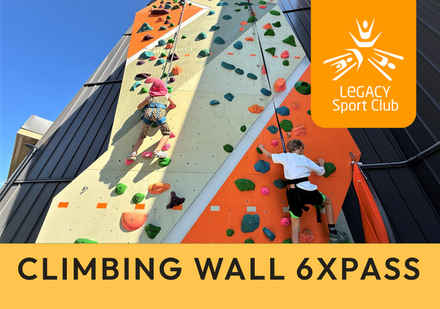 Climbing Wall - 6X Pass