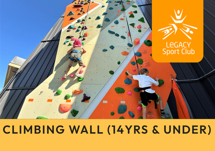 Climbing Wall- (14 yrs & under)