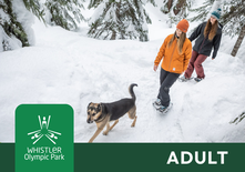 Snowshoe - Adult (19+)