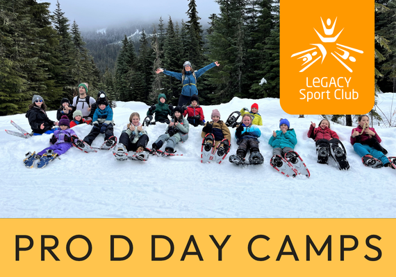 Pro D Day Camps