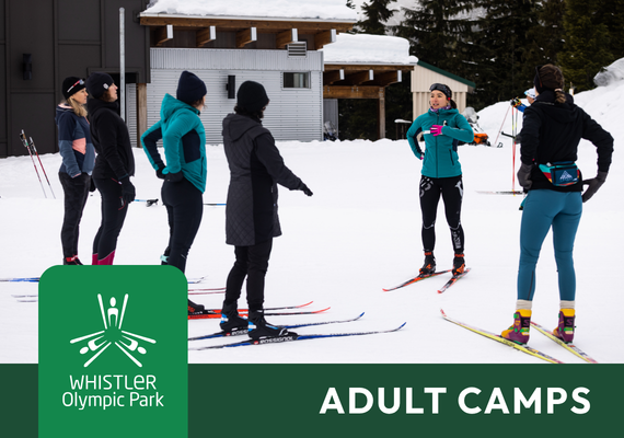 Adult Camps