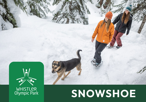 Snowshoe